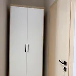 Fly