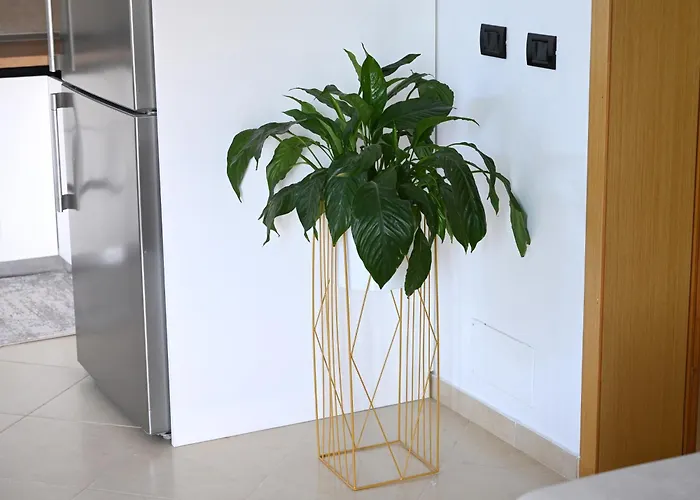 Kwatera prywatna Fly